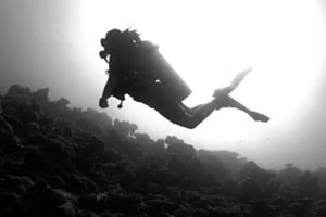 below the surface below the surface