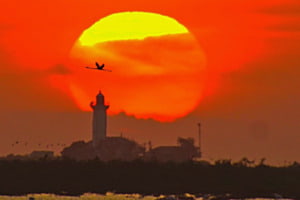 Sonnenuntergang in der Camargue