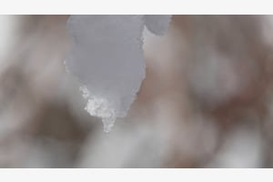 neige neige