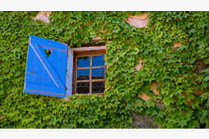 blau trifft grün