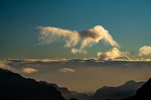 der Adler fliegt