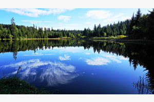 Psst...  - am Etang des Royes