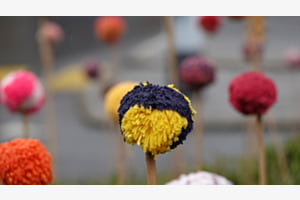 boule de laine boule de laine