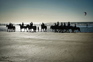 Silhouetten in der Normandie Silhouetten in der Normandie