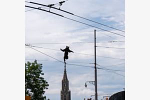 Münster Tanzbär 