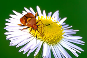 Auf Besuch