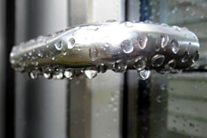 Vom Regen verzaubert