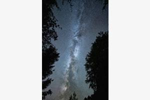 Cosmic canopy Cosmic canopy