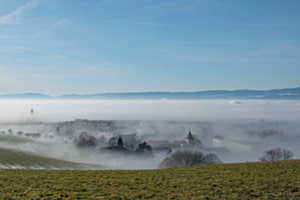 Vom Nebel verzaubert Vom Nebel verzaubert