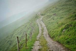 Weg in den Nebel