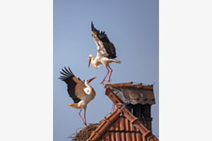 Herzlicher Empfang