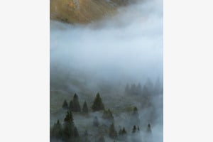 Mystische Nebelstimmung