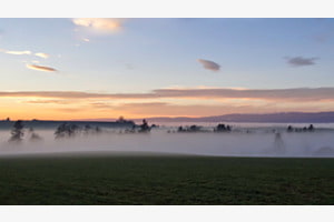 Im Glanz der Abendsonne Im Glanz der Abendsonne