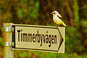 Der Weg nach Schweden Der Weg nach Schweden