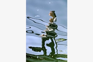 Unterwasserspaziergang