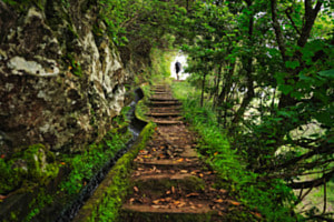 Wandern...