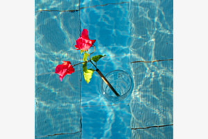 Still Life - Glas im Wasser