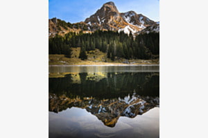 Bergsee-Wald-Spiegelung Bergsee-Wald-Spiegelung