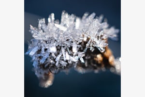 Winterkleid