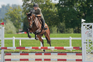 Springreitturnier Springreitturnier