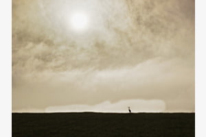 Zwischen Erde und Himmel Zwischen Erde und Himmel