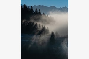 An der Nebelgrenze