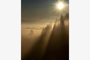 Nebelschatten Nebelschatten