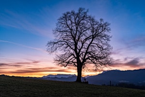 Zwischen Nacht und neuem Tag Zwischen Nacht und neuem Tag