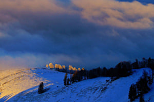 Genau an der Nebelgrenze Genau an der Nebelgrenze