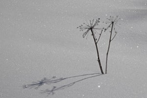 ombre et neige ombre et neige