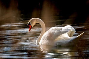Ein Moment ohne Zeit Ein Moment ohne Zeit