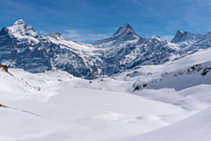 Winterschlaf