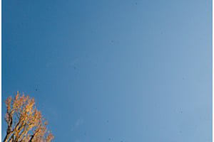 Sensordreck Sensordreck
