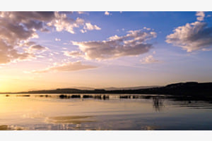 Im Glanz der Abendsonne
