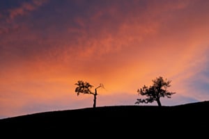 Zwiegespräch im Abendrot Zwiegespräch im Abendrot