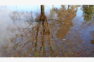 Inondation