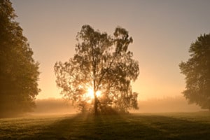 Herbst Herbst