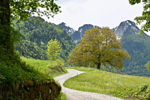 Der stille Weg