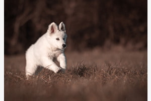 Free little spirit Free little spirit