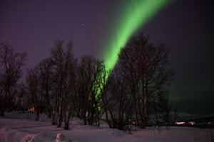 Polarlicht im Winter