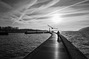Seeking for freedom