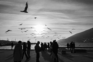 New year's hope 