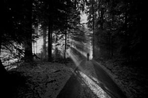 Der Weg ins Licht Der Weg ins Licht