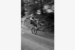 WHEELIE