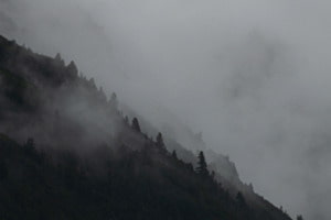 Fog Line