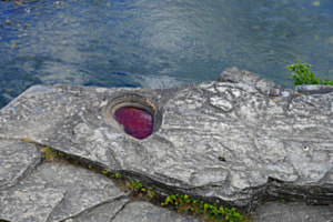Herzblut Herzblut