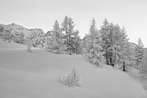 Simplon