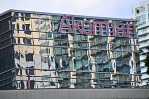 Verzerrte Wirklichkeit Verzerrte Wirklichkeit