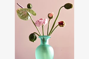 Mohn Still Leben