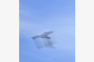 Erwischt beim Abflug